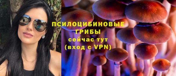 МДМА Каменногорск