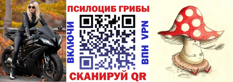 Псилоцибиновые грибы ЛСД  Купить где  Сясьстрой 