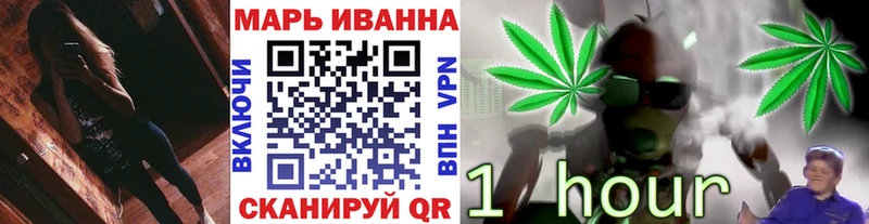 Купить  Сясьстрой  Конопля конопля 